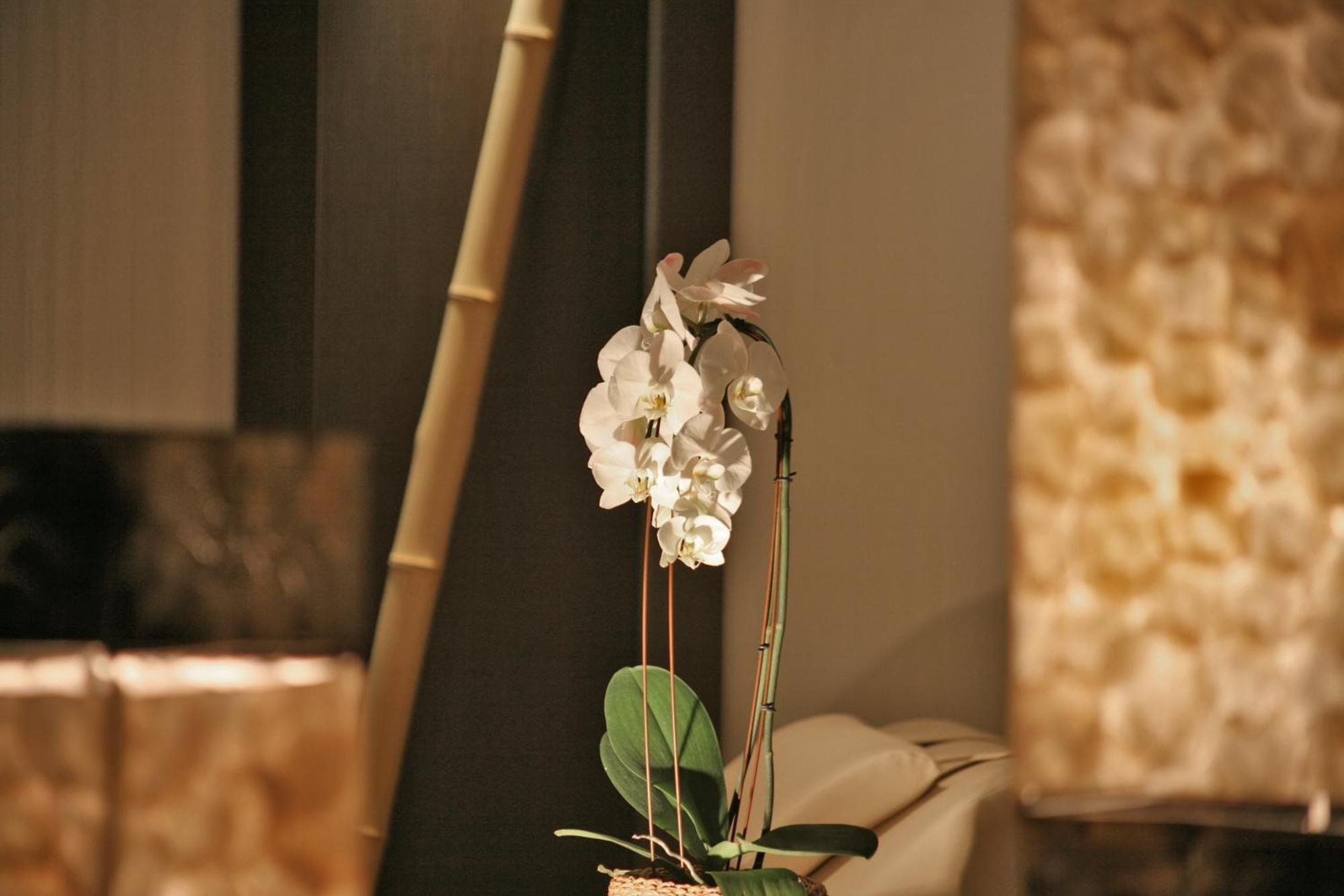Hotel & Spa Waldecker Hof วิลลิงเงิน ภายนอก รูปภาพ